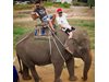 Криско се качи на
слон в Тайланд