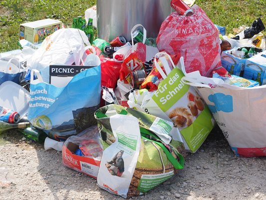 Австралийците използват 10 милиона найлонови торбички дневно, като 85 процента от тях се изхвърлят на боклука. Снимка: Pixabay