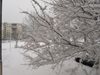 Сняг и вятър блокираха пътища в Свищовско, има села без ток