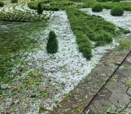 Земята в Садово побеля от градушката.