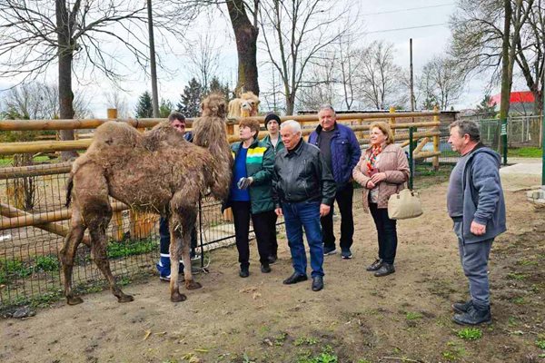 Посрещнаха Дара с плато с плодове в Павликени

Снимка: Община Павликени