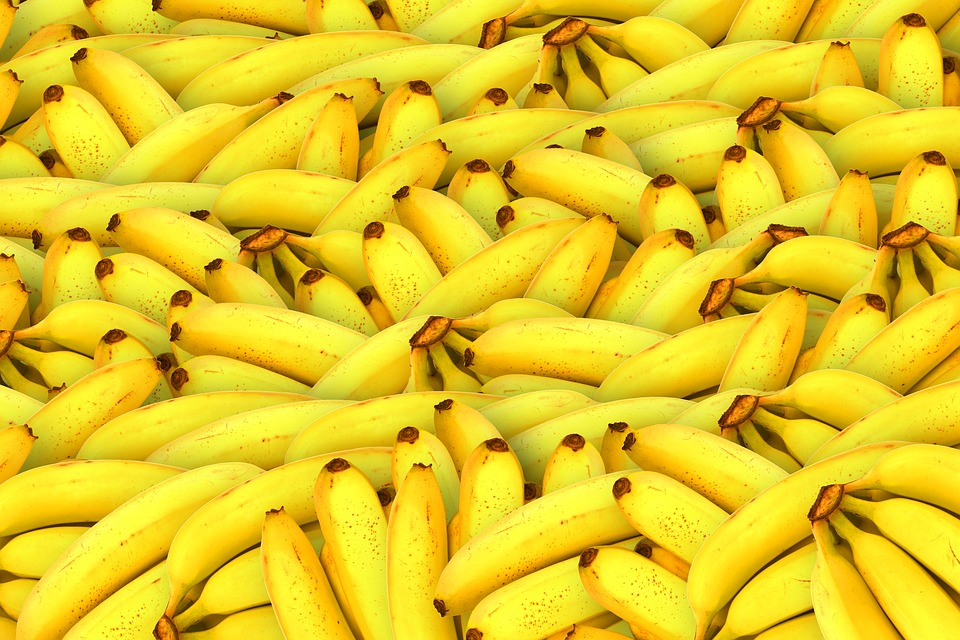 161 кг кокаин е открит в контейнери с банани в Солун