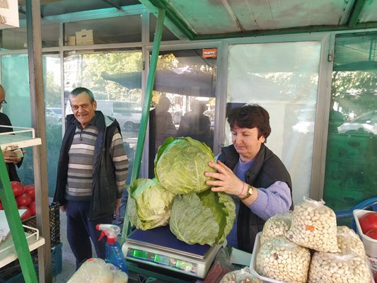 Въпреки неподходящото за зеле топло време, мнозина се заловиха да го слагат в бидона. Снимки: Авторът