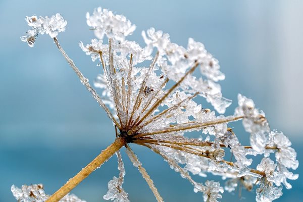 Валежи от дъжд и сняг ни очакват днес, в Пловдив - до 6°