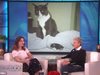 Котката на Манди Мур ходи на психолог за домашни любимци