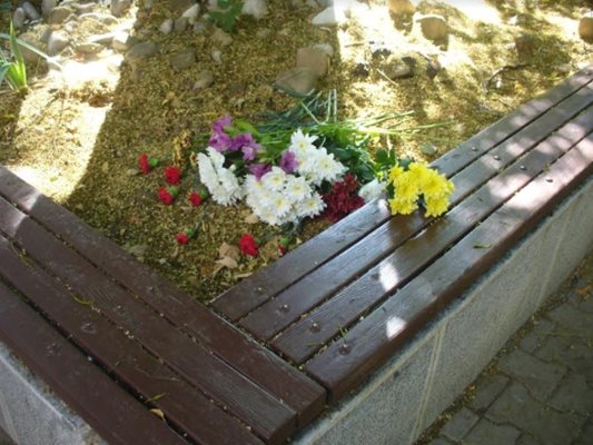 Цветята, които от групата за единение поднесоха пред паметната плоча на осъдените от Народния съд, бяха събрани и захвърлени до една от пейките наблизо. 
