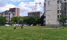 Съседска война "за" и "против" нова детска ясла в Пловдив, местят строежа