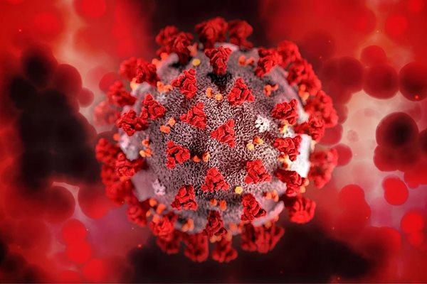 Проучване установи произхода на някои варианти на новия коронавирус