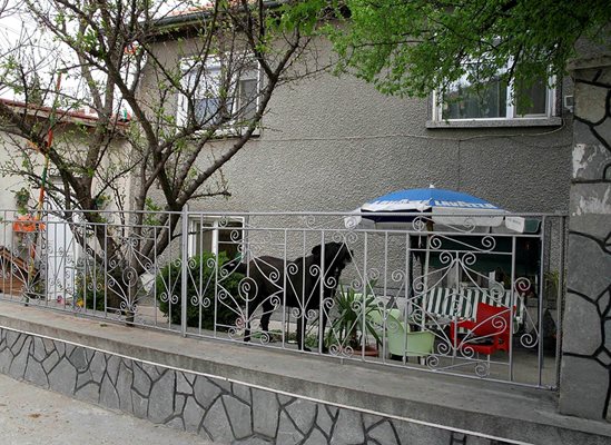 Къщата на Иванка Ройдова в Браниполе е до само тази на брат й Стойчо.