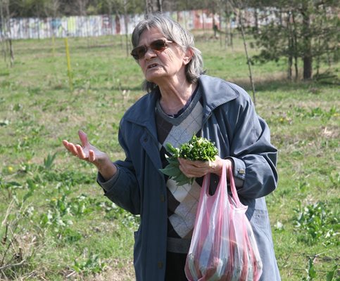 На метри от управниците Галя Примова и нейна връстничка късаха лапад за манджа.