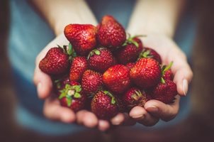 Все повече производители се насочват към целогодишно отглеждане на ягоди
