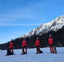 BG спасителите със своите кучета на курс в Словакия