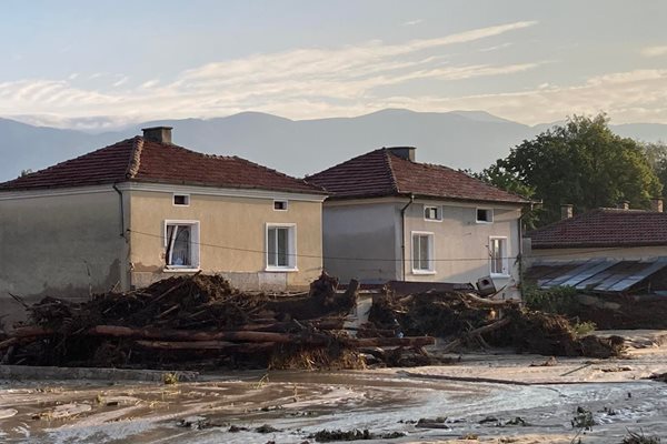 Огромни трупи и коренища са струпани в селото, влачени от голямата вода. Снимки: Никиолай Райшинов, БНТ