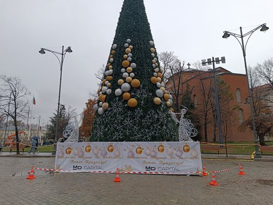 Елхата на София ще бъде запалена довечера от кмета Васил Терзиев.