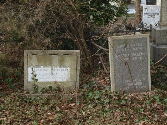 Гробовете на Борис и Бистра Винарови и на техните съпруга и съпруг Виктория Ангелова и Симеон Радев