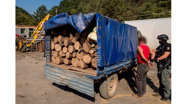 Момент от ареста на лесничей до камион, пълен с незаконно отсечени дърва.