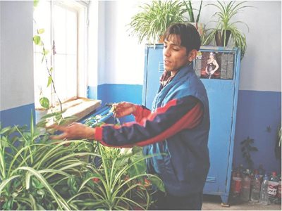 Младеж отглежда цветя в поправителния дом в Бойчиновци. 
СНИМКА: КАМЕЛИЯ АЛЕКСАНДРОВА