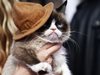 Най-намръщената котка в света спечели дело за 710 хил. долара