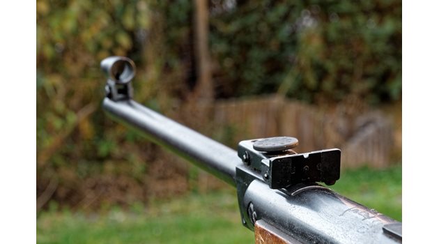 Оказало се, че по-младият мъж застрелял четириногото в собствения си двор със законнопритежавана пушка  СНИМКА: Pixabay