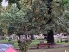 Мълния уби трима в София, четвърти в тежко състояние (Снимки, обновена)