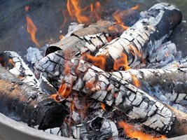 Домашни хитрини: За какво служи пепелта от дърво I част