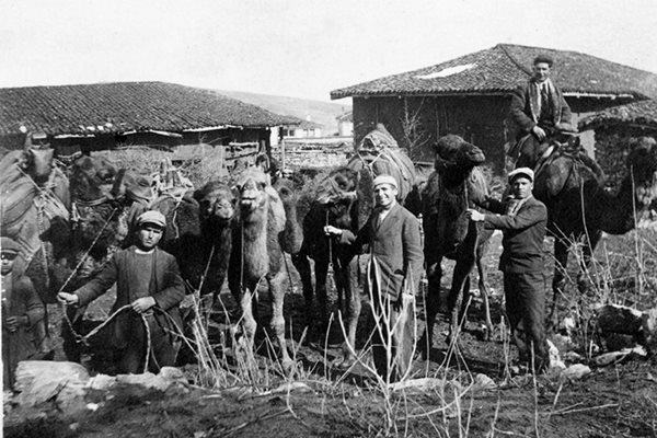 Архивни снимки са запечатали камиларите от Тополовград.