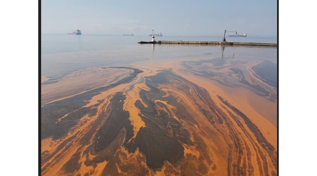 В Солунския залив също се вижда цъфтящия планктон.