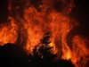Обявиха бедствено положение на остров Закинтос заради бушуващия пожар