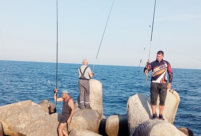 Рибари висят по буните за едър зарган. СНИМКА: Цанко Цанев