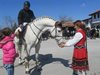 Състезания с коне в страната заради Тодоровден