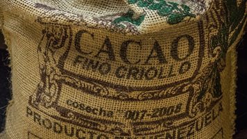 Доставките на какао намаляват поради нередовни дъждове