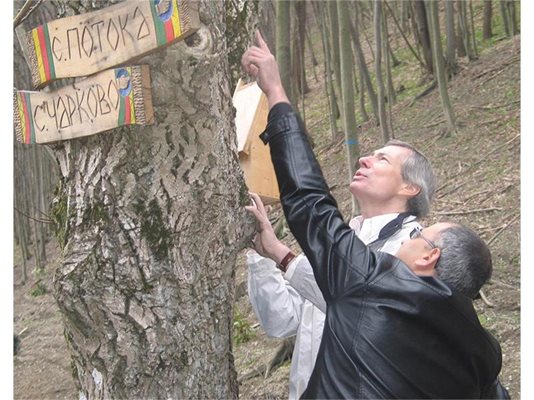 Американският посланик Джеймс Уорлик вчера постави къщичка за птици в Природен парк "Българка" край Габрово. 
СНИМКА: АВТОРЪТ
