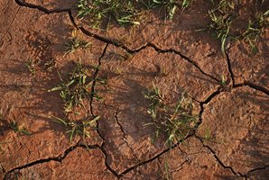 В Добруджа се изостря проблемът с липсата на почвена влага
