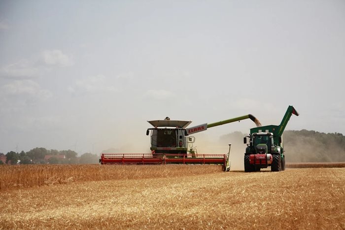При вноса за последната година се вижда намаление от 34 на сто при зърнените стоки.
Снимка: Pixabay