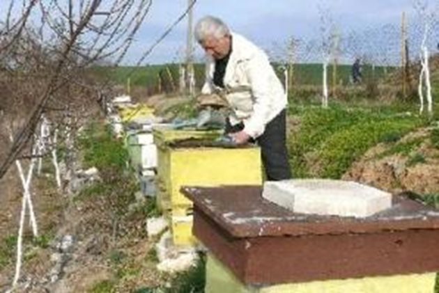 В критични моменти пчеларите трябва да подпомогнат активно пчелните семейства, като ги подхранят