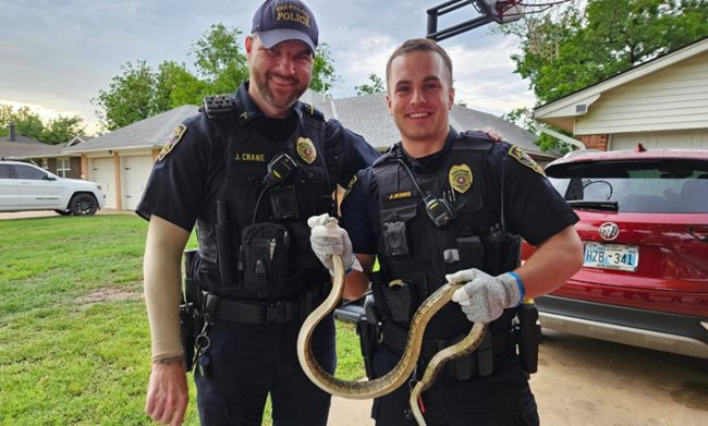 Змия се плъзна по капака на кола
СНИМКА: facebook/The Village Police Department