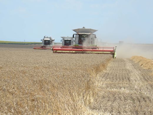Украйна спира износа на зърно за Полша