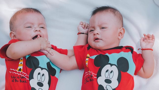 10 факта за близнаците