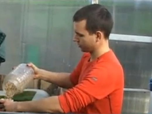 Българин отглежда шарани и зеленчуци по уникален нов метод