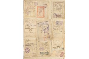 Страници от паспорта на Люба