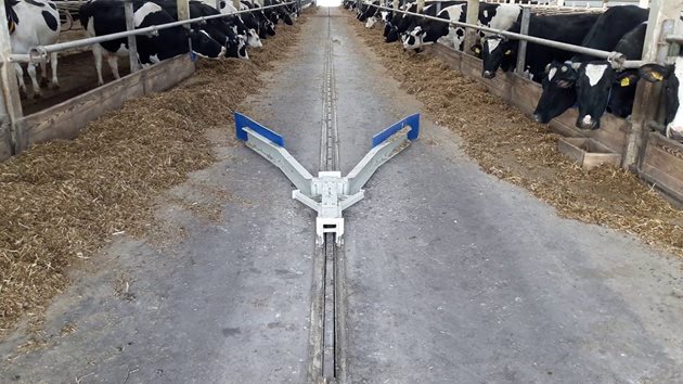 Редовното (в случая автоматично) прибутване на фуража на хранителната пътека стимулира кравите да ядат
