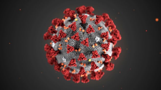 Новият коронавирус настъпва от Африка към Европа