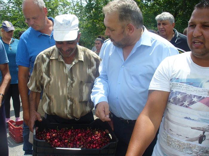 Зам.-министърът на земеделието Цветан Димитров /в средата/ дойде намясто, за да успокои производителите на череши, но хората останаха недоволни.