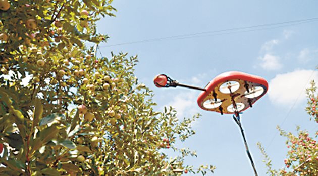 Дронът за откъсване на ябълки на Tevel Aerobotics.