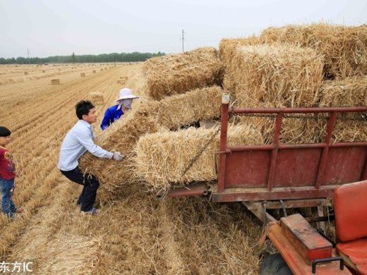 Ли Сяопън: Отпадъците в земеделието могат да бъдат важен източник на енергия
