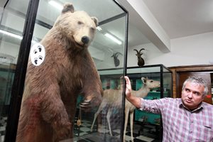 Николай Симов разказва за наградената мечка / Снимки: Юлиан Савчев
