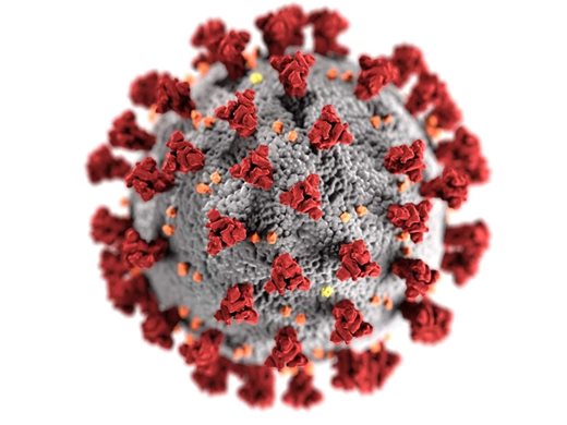 Учени предложили да разработят нови коронавируси за американска агенция