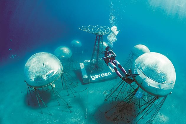  Биосферите на Nemo’s Garden са уникален тип подводна оранжерия, способна да използва положителните фактори на околната среда на океана, за да създаде среда, идеална за отглеждане на култури