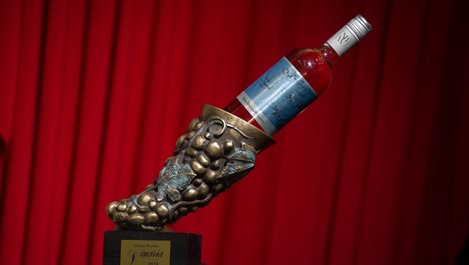 Два ритона и три златни медала за New Bloom Winery на Винария
