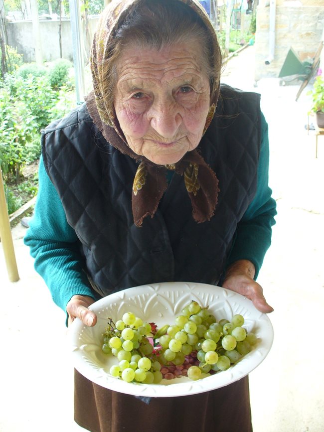 Първата ми среща с някогашната слугиня на ген. Стилиян Ковачев Мария Мирчева беше по гроздобер през 2015 г. Тогава тя караше своята 96-ата година.
Снимка: Ваньо Стоилов